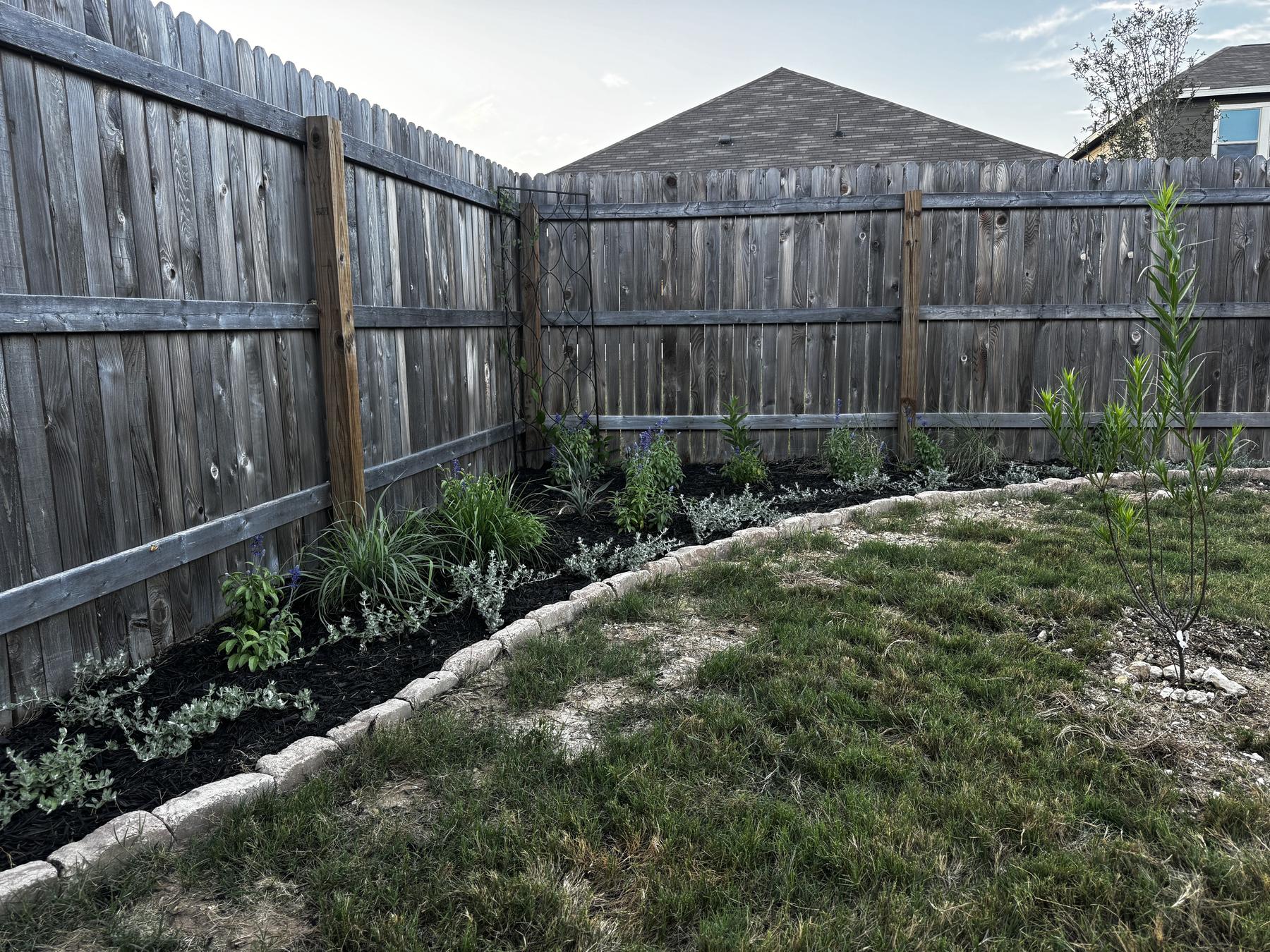 Landscape design Kerrville TX