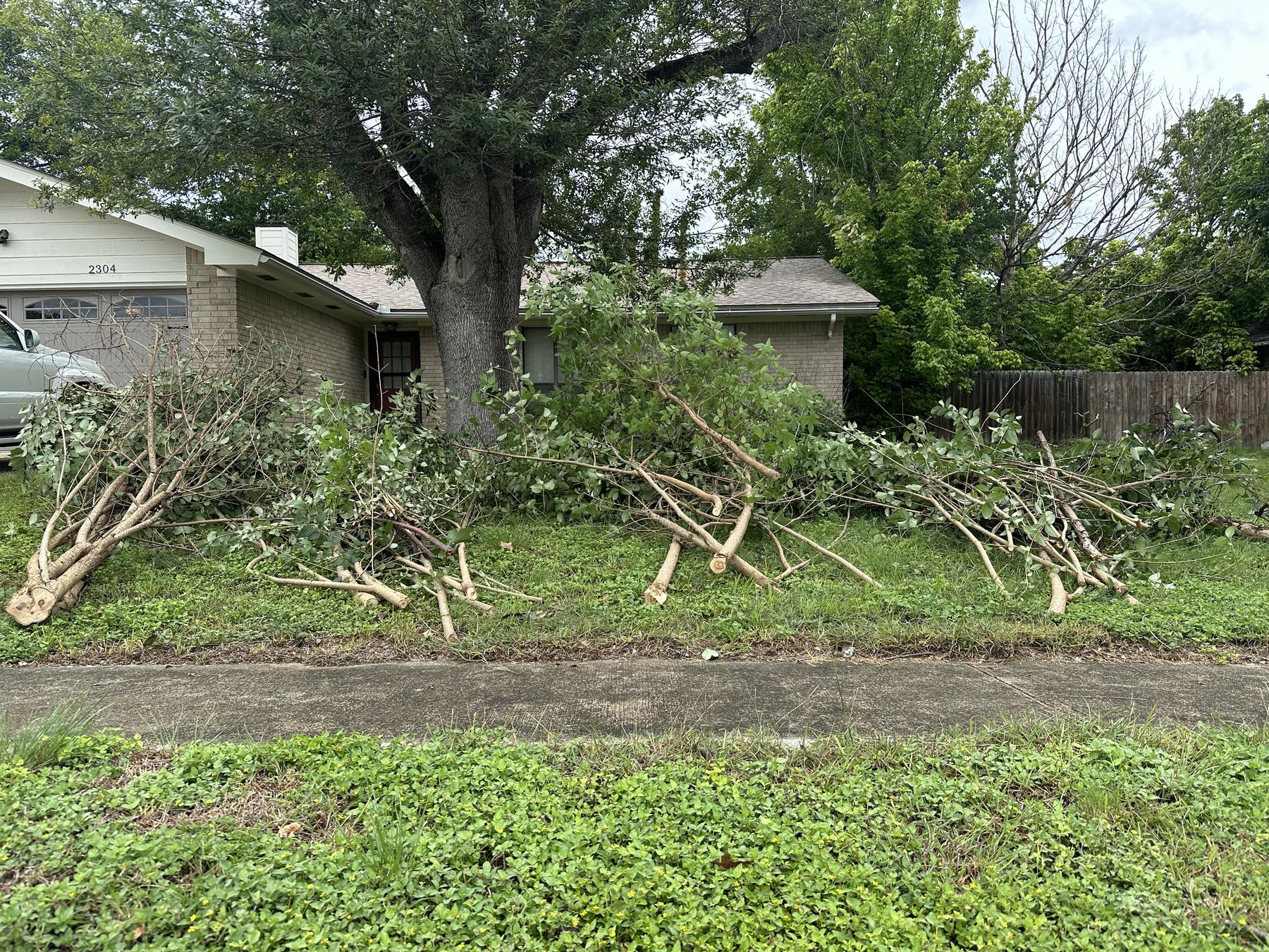 Tree and brush clearing Comfort TX